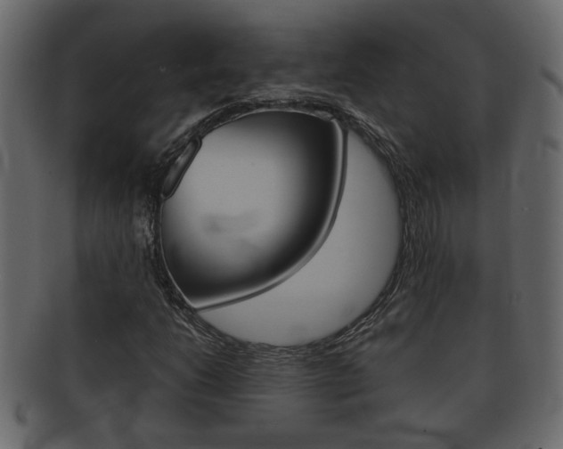 X0000092311206200709141023
