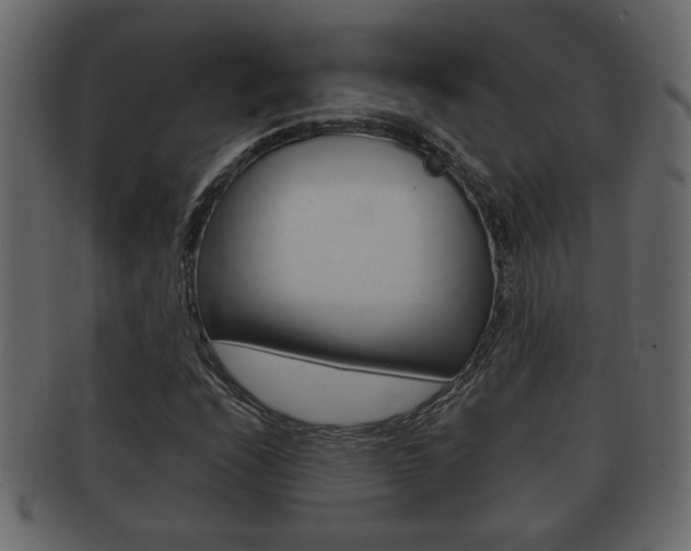 X0000092311208200709141024