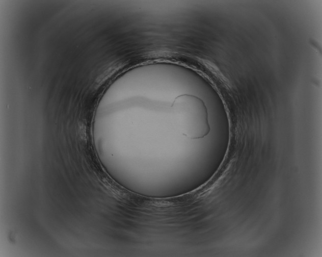 X0000092311209200709141024