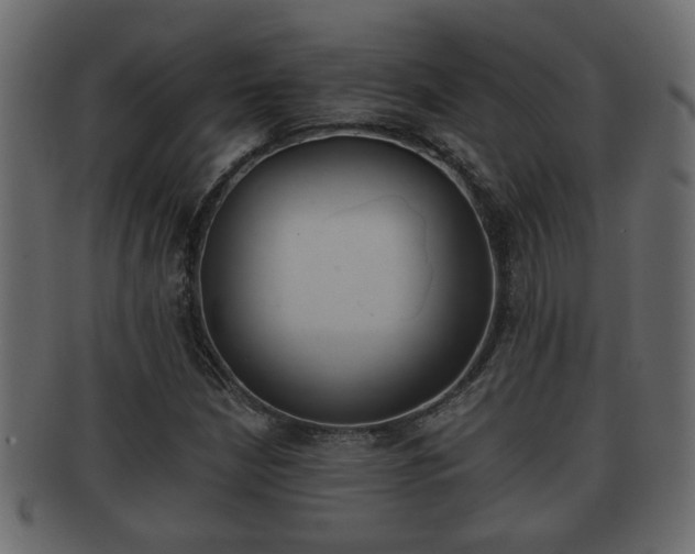 X0000092311210200709141024