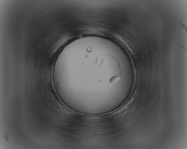X0000092311211200709141024