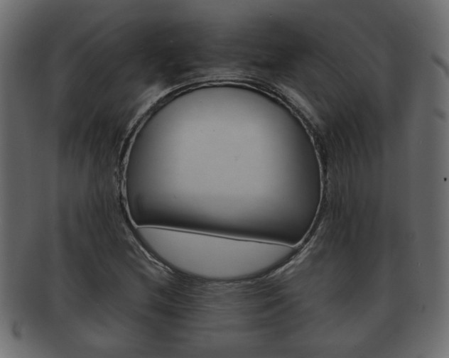 X0000092311212200709141024