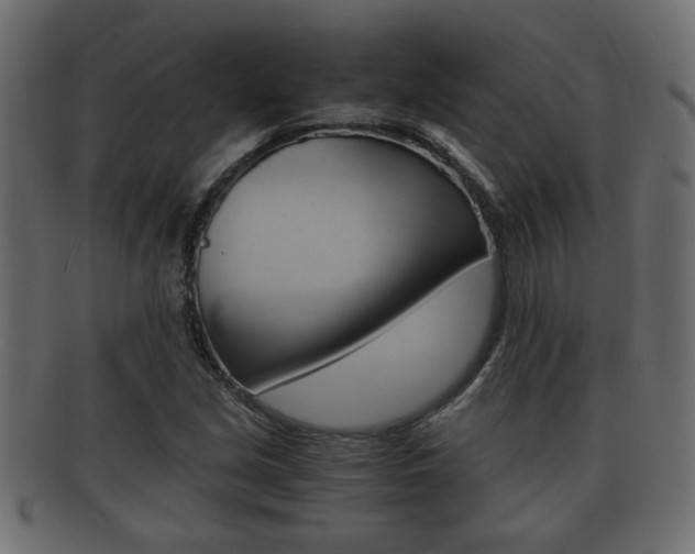 X0000092311213200709141024