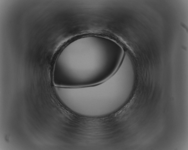 X0000092311214200709141024