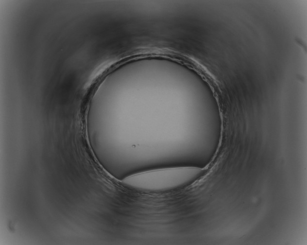 X0000092311215200709141024