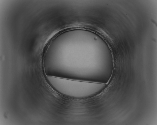 X0000092311216200709141024