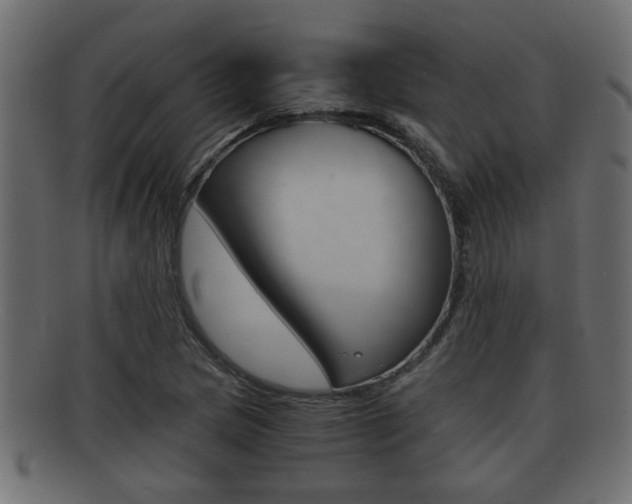 X0000092311217200709141024