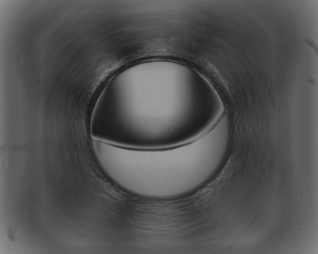 X0000092311218200709141024