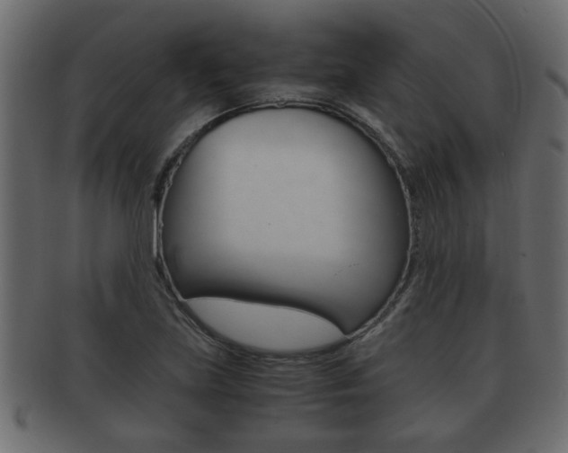 X0000092311219200709141024