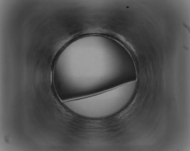 X0000092311221200709141024