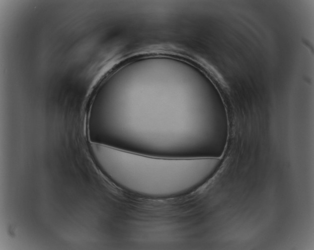 X0000092311224200709141024