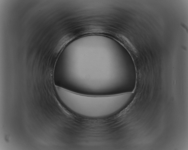 X0000092311225200709141024