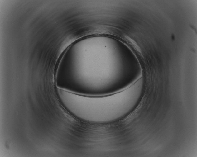 X0000092311226200709141024