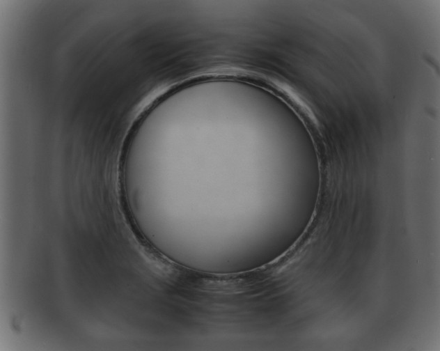 X0000092311229200709141024
