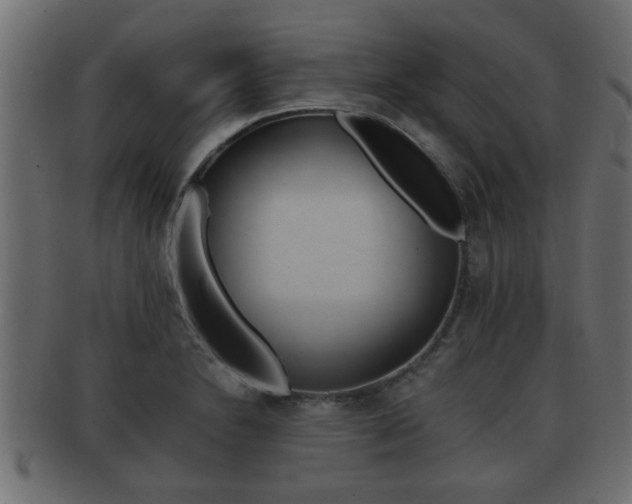 X0000092311230200709141024