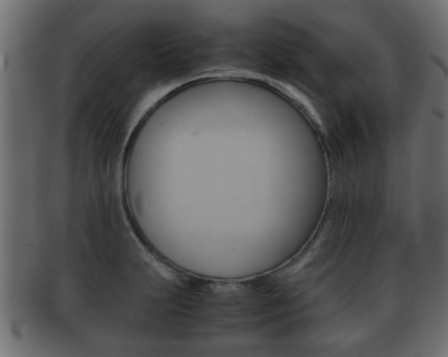 X0000092311231200709141024