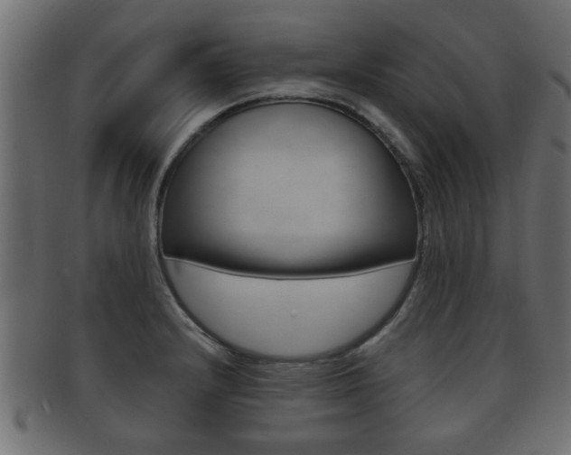 X0000092311232200709141024