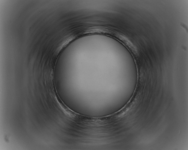 X0000092311233200709141024
