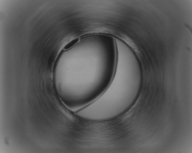 X0000092311234200709141024