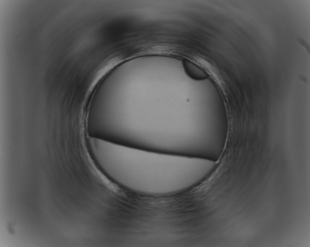 X0000092311235200709141024