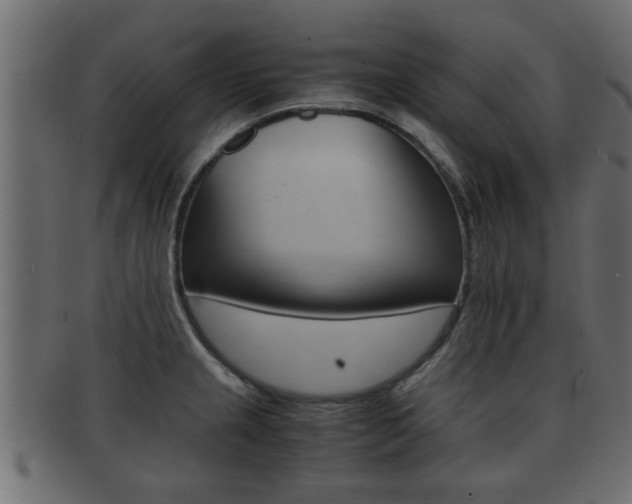 X0000092311237200709141024