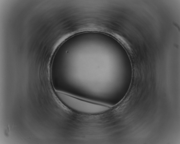 X0000092311238200709141024