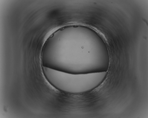 X0000092311239200709141024