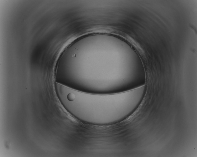 X0000092311240200709141024