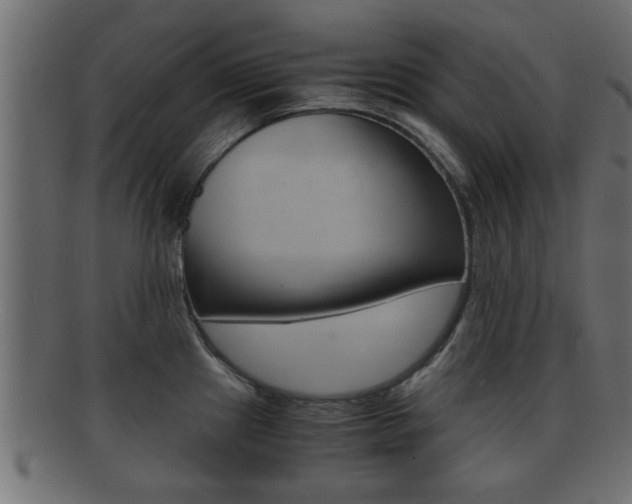 X0000092311241200709141024
