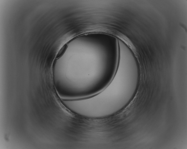 X0000092311242200709141024