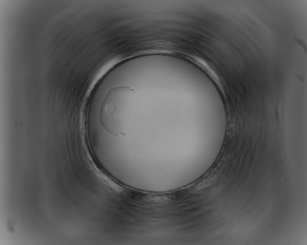 X0000092311243200709141024