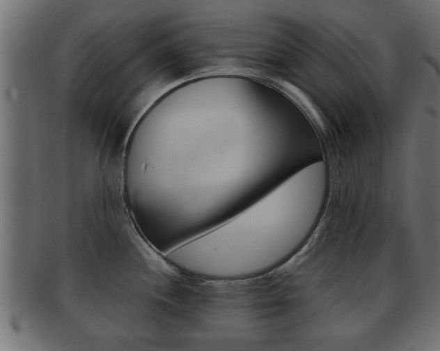 X0000092311244200709141024