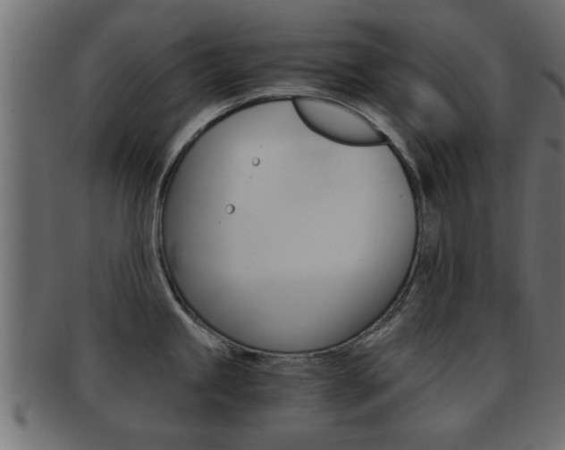 X0000092311245200709141024