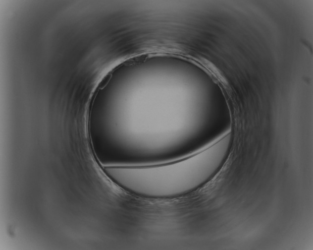 X0000092311246200709141024