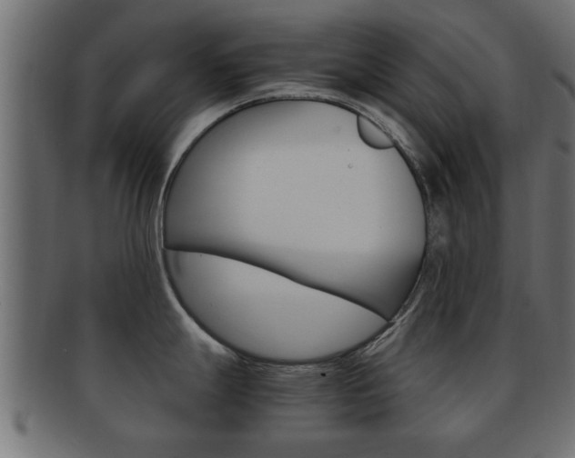 X0000092311247200709141024