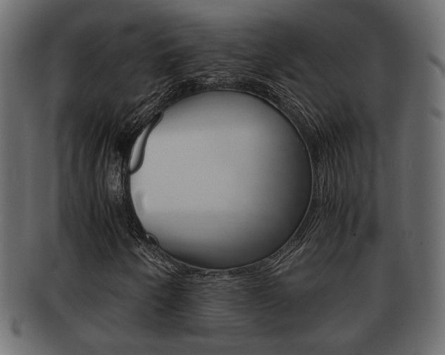 X0000092311250200709141023