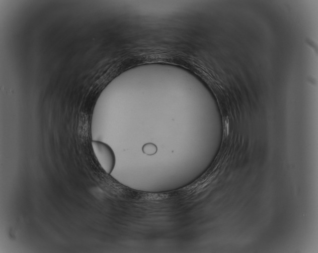 X0000092311251200709141023