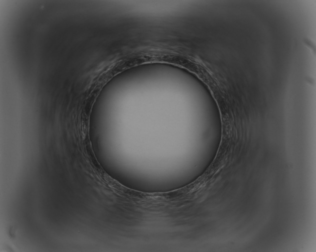 X0000092311253200709141023