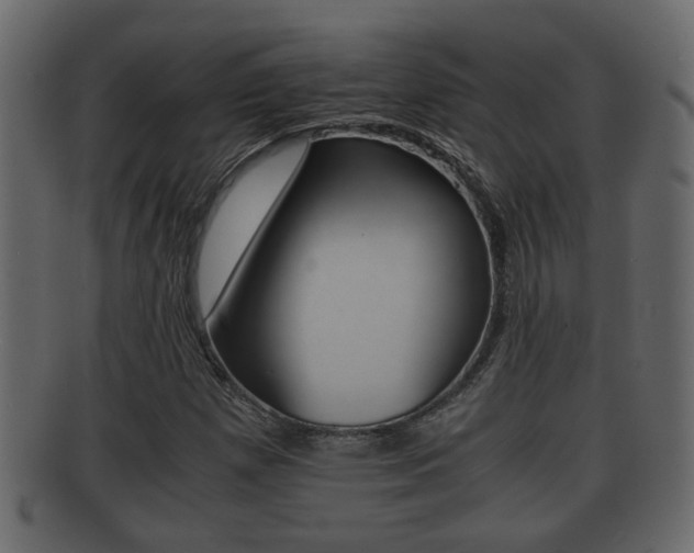 X0000092311257200709141023