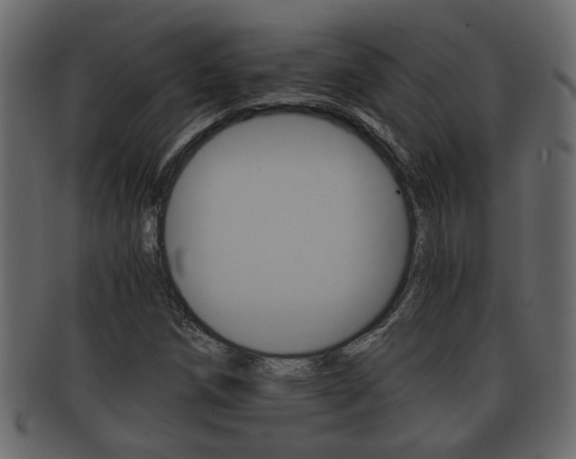 X0000092311258200709141023