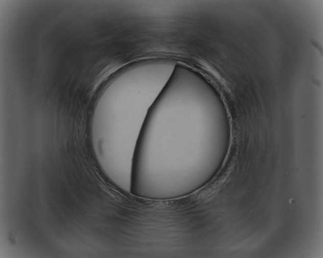 X0000092311259200709141023