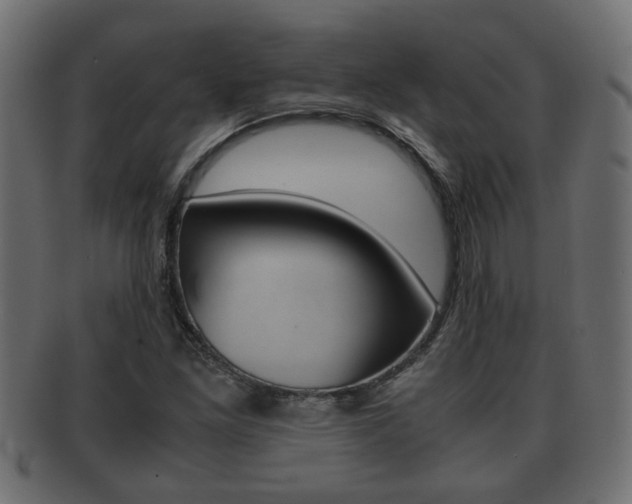 X0000092311261200709141023