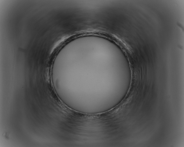 X0000092311262200709141023