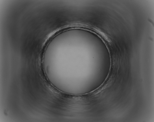 X0000092311264200709141023