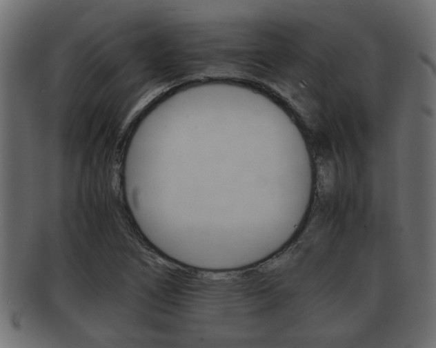 X0000092311266200709141023
