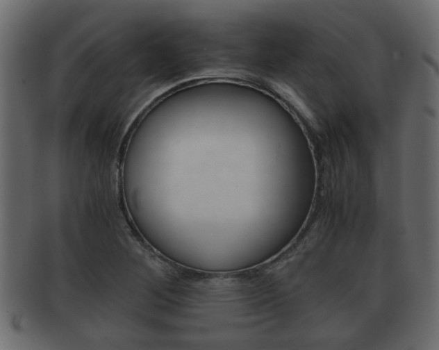 X0000092311268200709141023