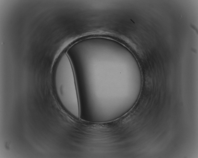 X0000092311270200709141023