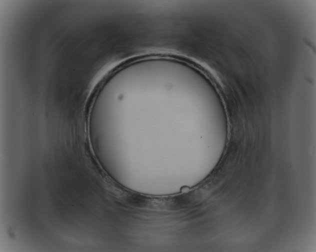 X0000092311271200709141023