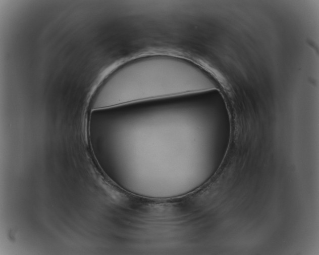 X0000092311272200709141023