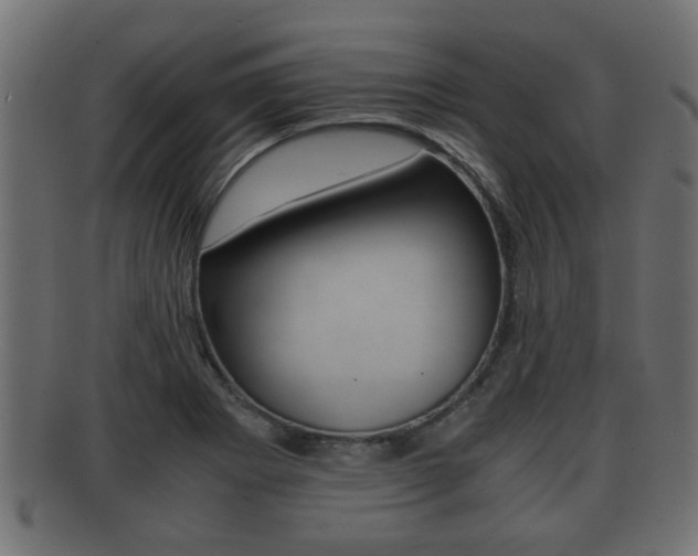 X0000092311273200709141023